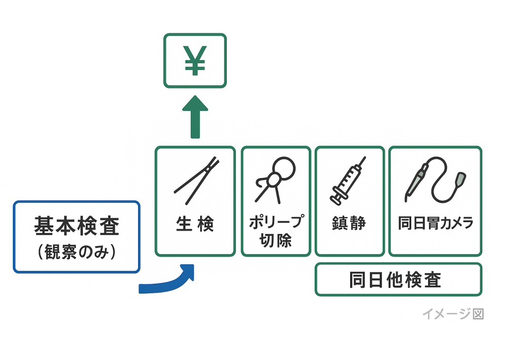 図:大腸内視鏡の費用変動要素。観察のみから、生検・ポリープ切除・鎮静・同日胃カメラなどの追加で自己負担が増える仕組みを可視化し、見落としを防ぎます。