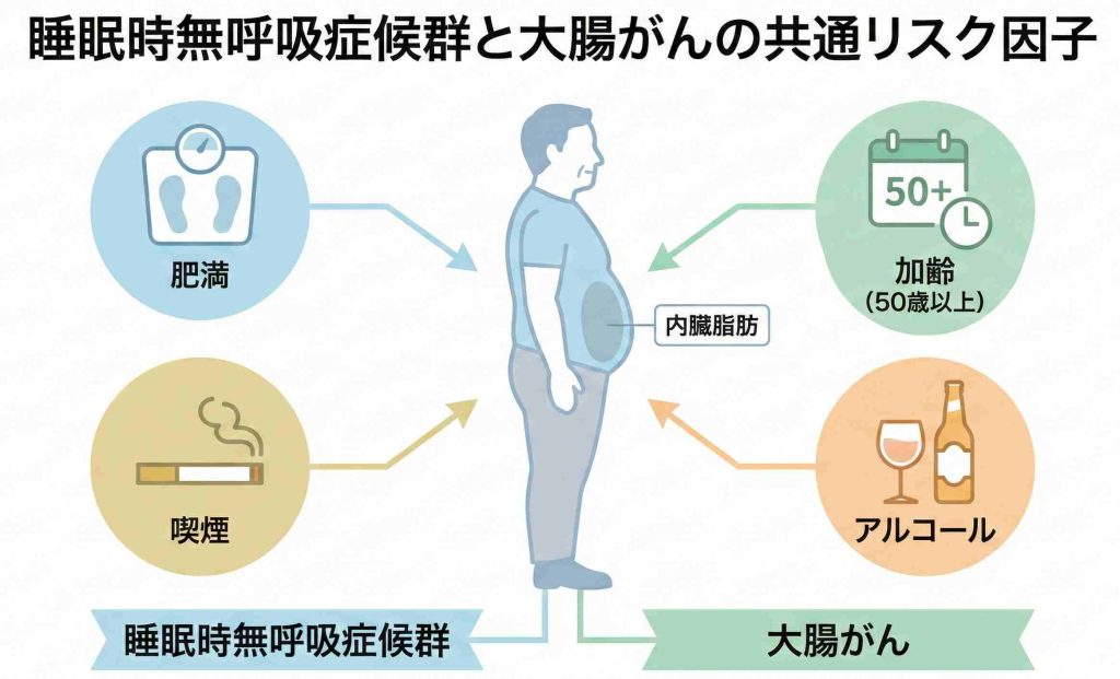 睡眠時無呼吸症候群と大腸がんに共通するリスク因子（肥満・年齢・喫煙・飲酒）を示したイラスト