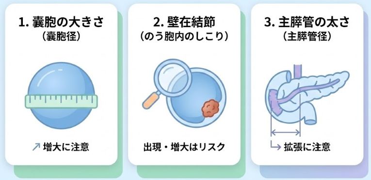 IPMN経過観察で確認する嚢胞径・結節・主膵管径の3項目を示すインフォグラフィック