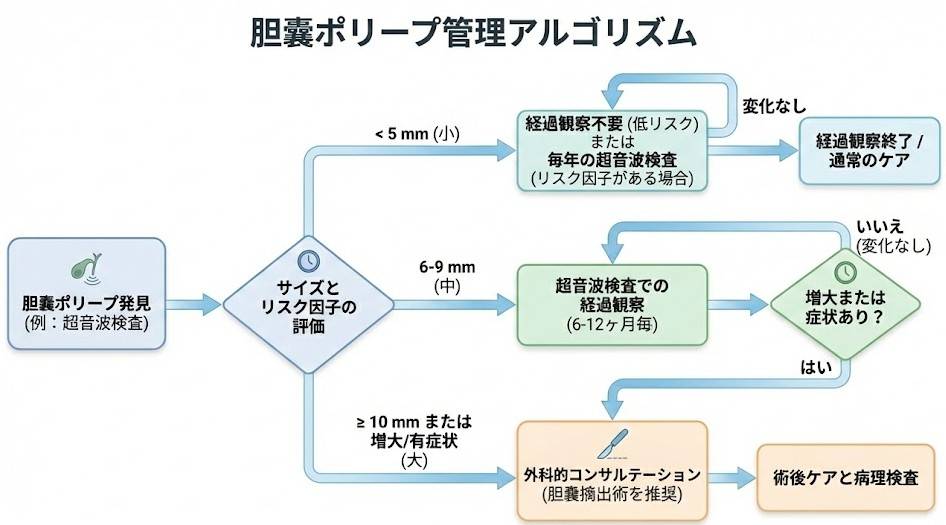 胆嚢ポリープのサイズ別対応フローチャート
