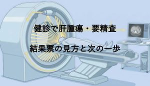 健診で肝腫瘍・要精査｜焦らず読む結果票の見方と次の一歩