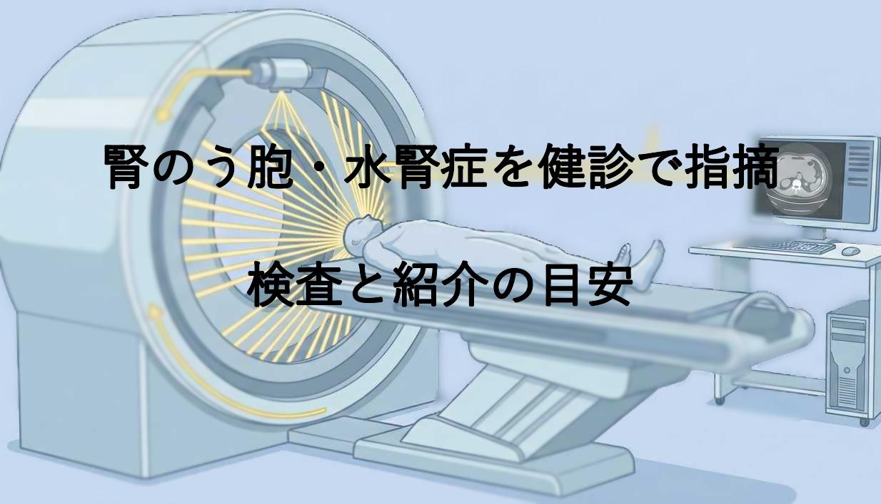 腎のう胞・水腎症を健診で指摘｜検査と紹介の目安