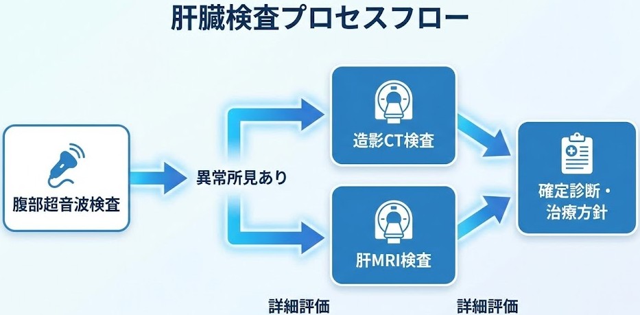 肝臓検査フロー