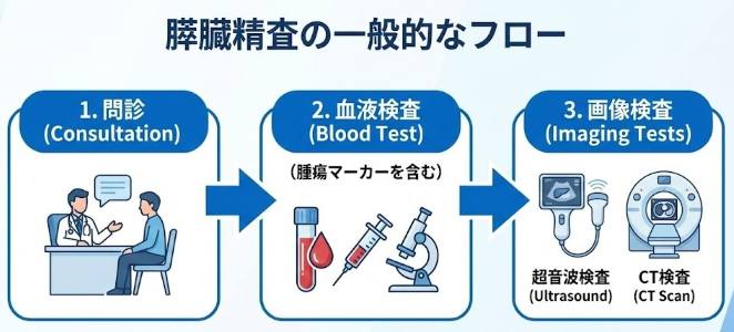 膵臓精査の流れ(問診・血液検査・画像検査)のフロー図