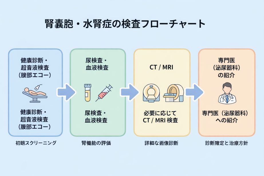 腎のう胞・水腎症が見つかった場合の検査フローチャート