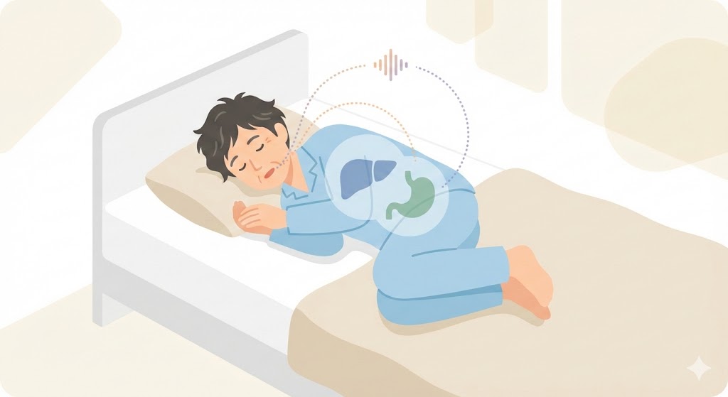いびきをかいて眠る中年男性の体の上に、気道・肝臓・胃が重なって表示され、睡眠時無呼吸症候群(SAS)が脂肪肝や逆流性食道炎の原因になりうることをイメージで説明する金沢消化器内科・内視鏡クリニックのメインビジュアル