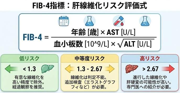FIB-4 indexの計算式と線維化リスク判定基準を示す図