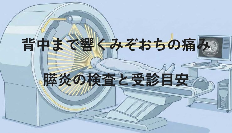 背中まで響くみぞおちの痛み｜膵炎の検査と受診目安