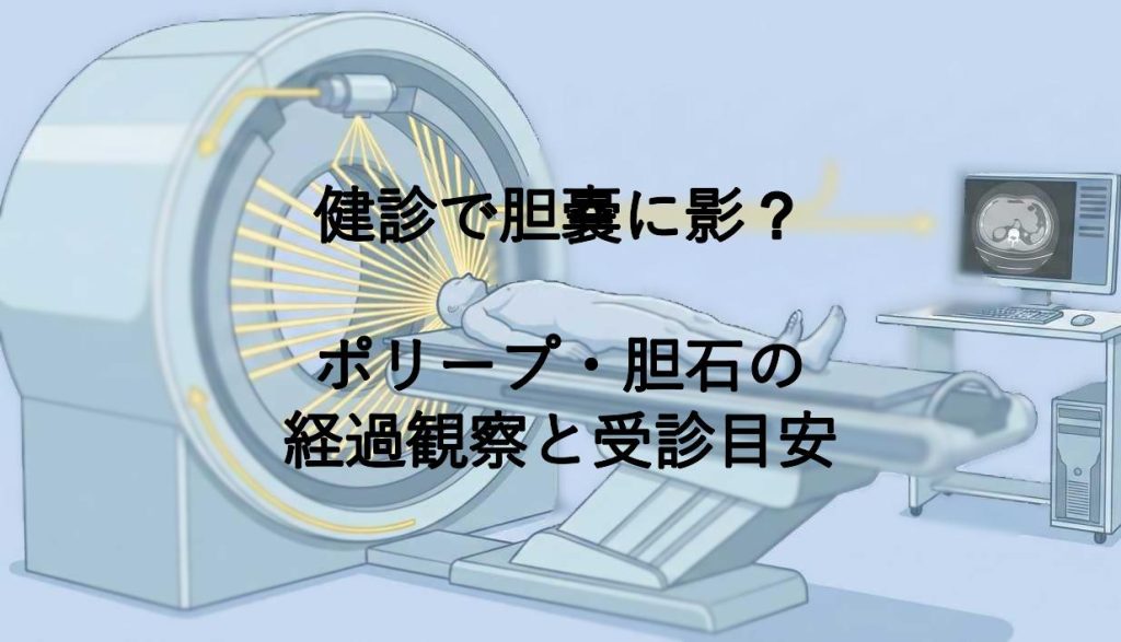 健診で胆嚢に影？ポリープ・胆石の経過観察と受診目安